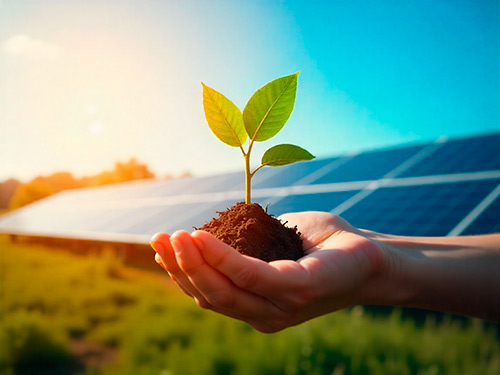 Imagen ilustrativa: mano sosteniendo una planta con paneles solares de fondo