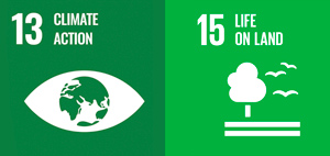sdg-13-y-15